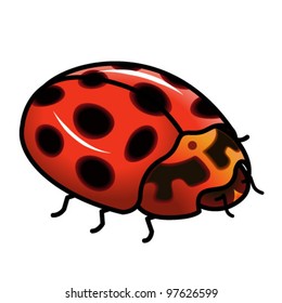 A shiny red ladybug / ladybird.