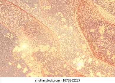 Shiny rose, and gold stone marble texture. Alcohol ink technique abstract vector background. Modern paint with glitter. Template for banner, poster design. Fluid art painting