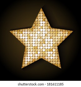 Shiny sequins star. Eps 10 vector illustration