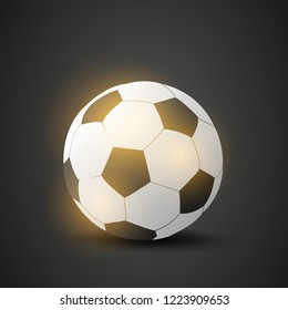 Shiny Soccer Ball