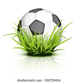 Shiny soccer ball on reflecting grass