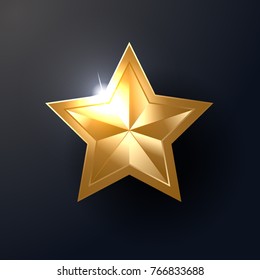 Shiny Star Vector Icon