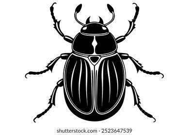 Shiny Textured Beetle Carapace Illustration 