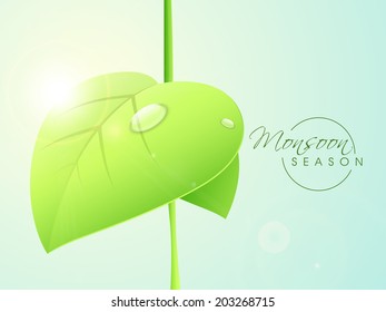 Shiny waterdrop on green leaf, beautiful concept for Monsoon Season. 