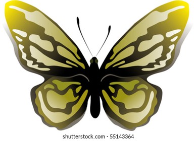 shiny yellow butterfly vector