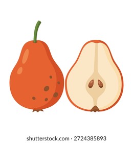 Ilustração de Shipova Fruit Vetor. Raro Bolwiller Pear Híbrido Isolado