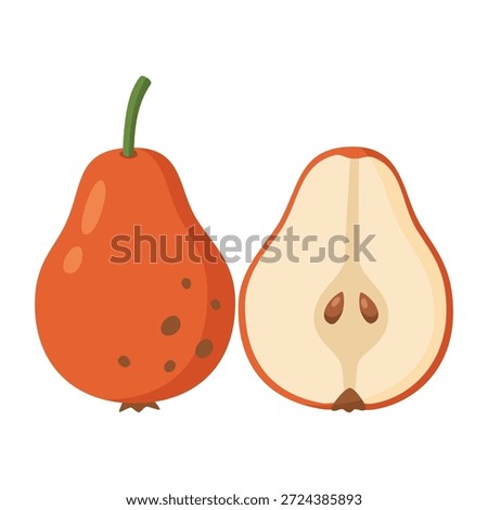 Shipova Fruit Vector Illustration. Rare Bollwiller Pear Hybrid Isolated