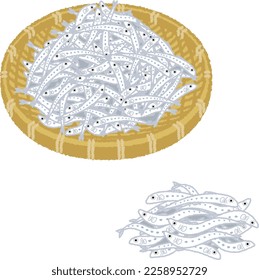 Shirasu (whitebait) is a white fry with no pigment on its body, such as anchovies, sardines, round herrings, and herrings.