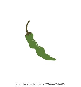 Pimienta shiíta. Capsicum annuum. Pimienta chile. Verduras orgánicas frescas. Ilustración vectorial aislada en fondo blanco. Para etiqueta de plantilla, embalaje, web, menú, logotipo, textil, icono