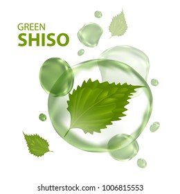 shiso leaf natural cosmetics