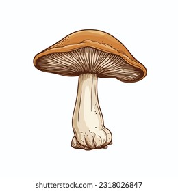 shitake vector 2d flat color white background