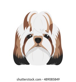 Shitzu dog isolated on white background vector illustration