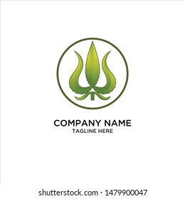 shiva nature green Cbd beauty logo