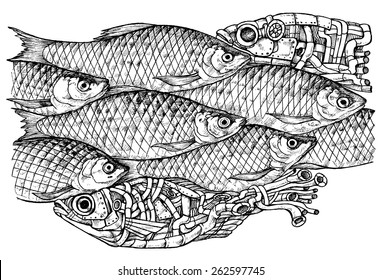 Shoal of fish steam punk and reall - drawn vector illustration, isolated on white, stylized engraving