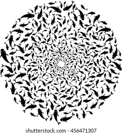 Shoal of fish swimming in circle
