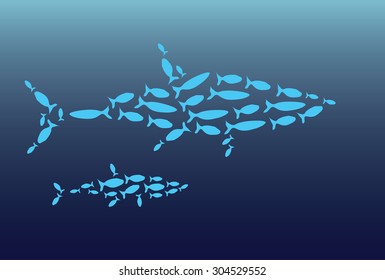 Shoal Shark, fish disguised as shark, team work