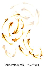 Shoal of small gold fish. vector art
