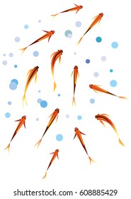 Shoal of small gold fish. vector art