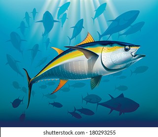 Shoal of yellowfin tuna in deep water. Realistic vector illustration.