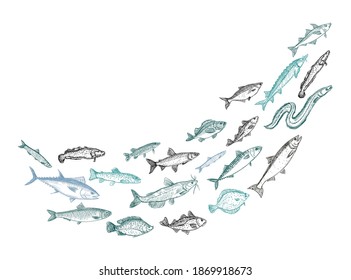 Esbozo gráfico de peces de tiro, ilustración vectorial del remolino de peces de escolarización