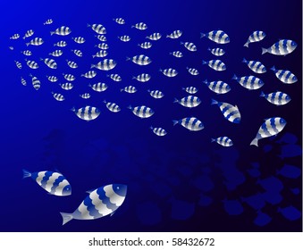 shoals of fish in the deep