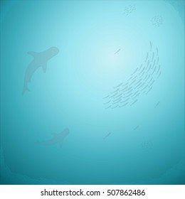 shoals of fish with two sharks bottom view