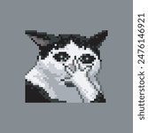 Shocked cat, pixel art meme