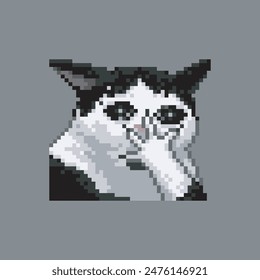 Shocked cat, pixel art meme