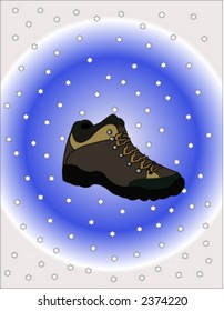 shoe 2