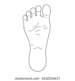 Shoe and bare foot print icon vector set