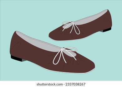 A shoe is an item of footwear intended to protect and comfort the human foot. Although the human foot can adapt to varied terrains and climate conditions,