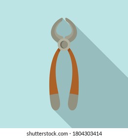 Shoe repair pliers icon. Flat illustration of shoe repair pliers vector icon for web design