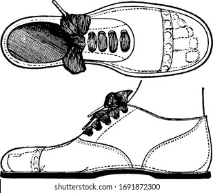 Shoe is a sensible shoe, vintage line drawing or engraving illustration.