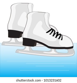 The Shoe with skates for riding and winter sports.Vector illustration