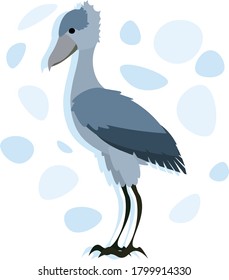 Shoebill stork in cadet grey color.