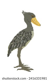 Shoebill stork vector illustration isolated on white background. Balaeniceps rex, Whalehead stork. Big bird.