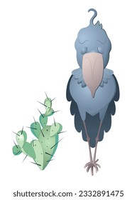 The Shoebill Storks vector illustration. Vector cartoon cute unique animal. The bird Isolated on white background.