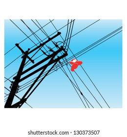 Shoes on power lines