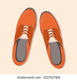 Shoes top down view. Classic brown laced unisex shoes isolated illustration. Hand drawn vector clip art for web and print. Trendy flat lay style illustration. Pair of shoes.