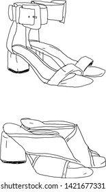 Shoes vector picture illustration. Shoes set. Black and white women's shoes. graphic picture fashion poster