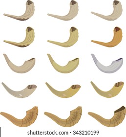 Shofar collection