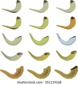 Shofar collection
