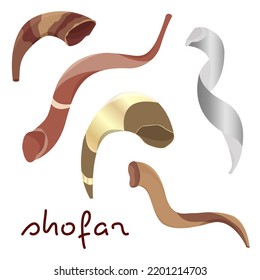 Shofar horns. Yom Kippur holiday. Shofar of different shapes and colors. 