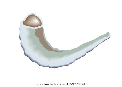 Shofar, a Jewish instrument. For the holidays Rosh Hashanah, and Yom Kippur.