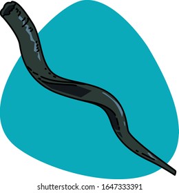 Shofar from Kudu horn for Rosh Hashanah (jewish New Year holiday) on blue background
