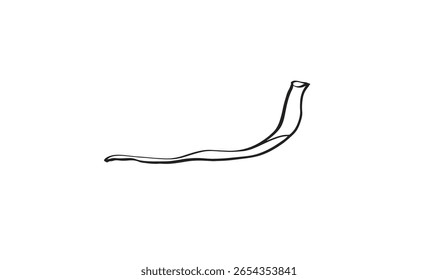 shofar rosh hashanah símbolo da torá assinar religião judaísmo celebração de feriado shofar rosh hashanah torah comida israel país nacional shana tova fruta romã doodle elemento judeu israel shofar arte