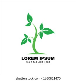 SHOOT LOGO. VECTOR LOGO FOR COMPANY