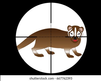 Shoot the palm civet  with a gun.