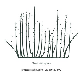 shoot tree pictograms Hand drawn ink. Sketch of plants. Isolated on white background. Vector illustration.
