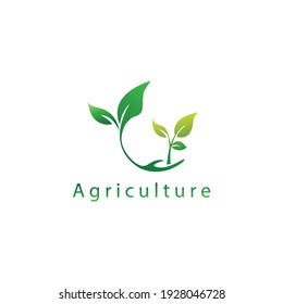 shoots of plants logo agriculture illustration of leaves circle vector design